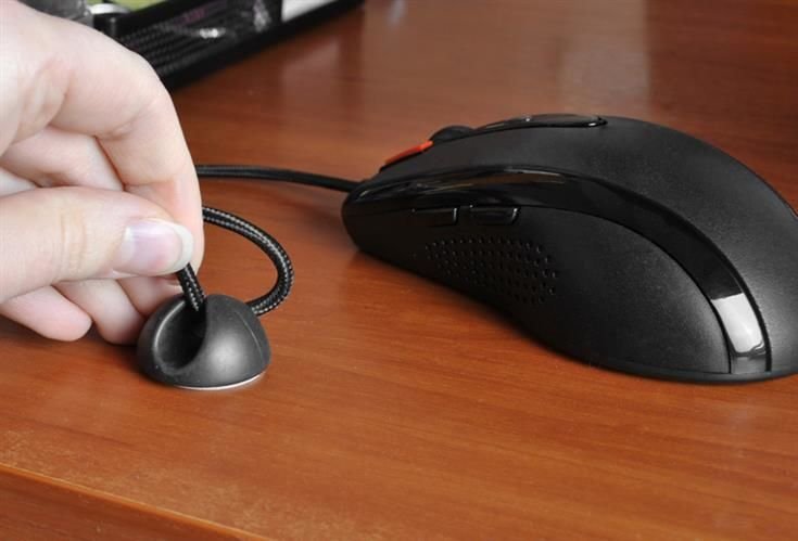 000243bd7283603a699df2b8b3199491 000243bd7283603a699df2b8b3199491